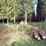 Lägenhet Androla Am Vennbahnradweg *