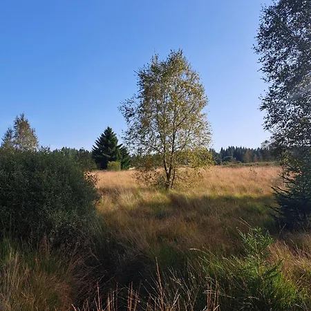 Androla Am Vennbahnradweg Lejlighed