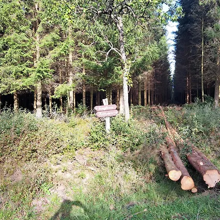 Apartmán Androla Am Vennbahnradweg *