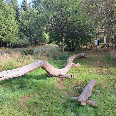 Androla Am Vennbahnradweg * Monschau