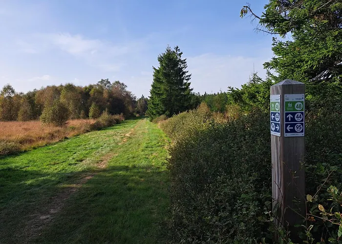 Androla Am Vennbahnradweg Monschau