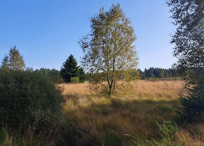 Androla Am Vennbahnradweg Daire