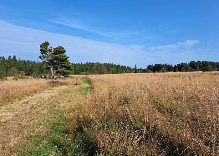 Androla Am Vennbahnradweg