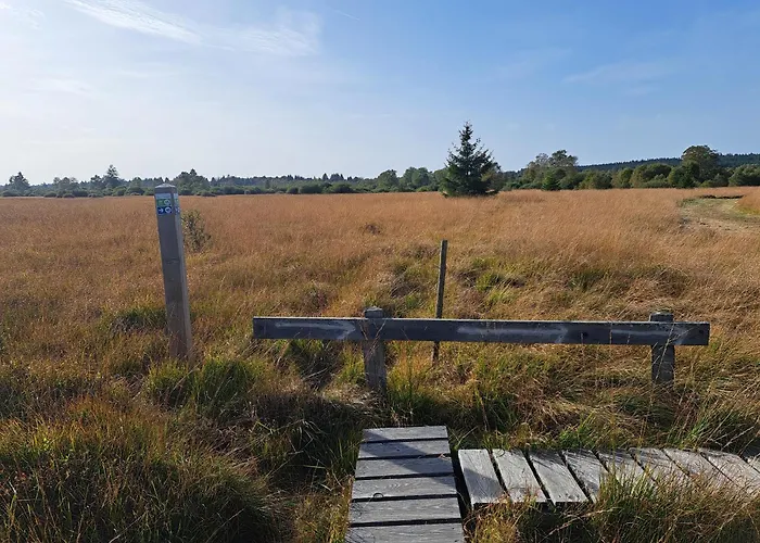 Androla Am Vennbahnradweg Daire *