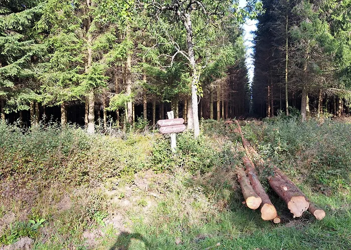 Daire Androla Am Vennbahnradweg *