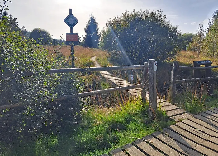 Daire Androla Am Vennbahnradweg *