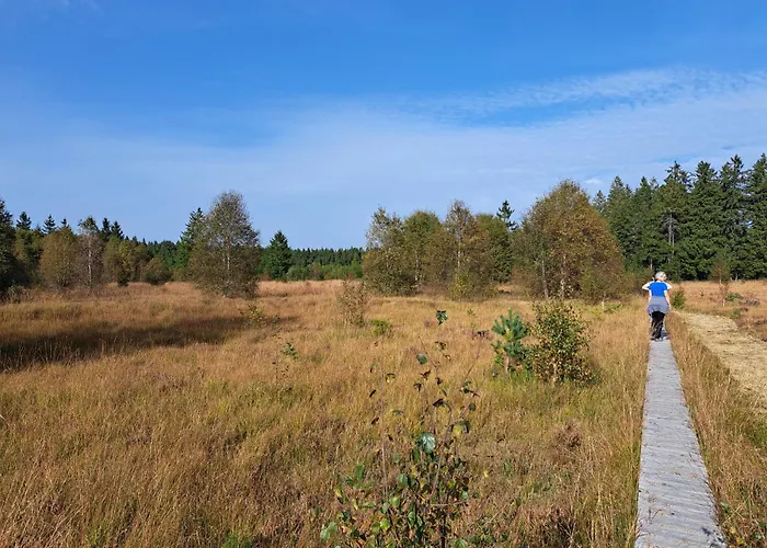 Androla Am Vennbahnradweg